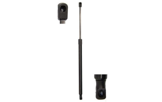 Gas spring, trunk