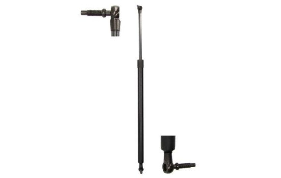 Gas spring, trunk
