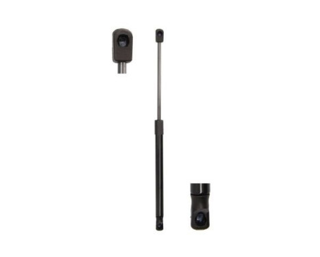 Gas spring, trunk