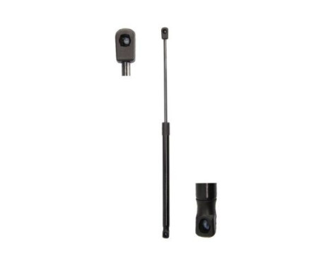 Gas spring, trunk