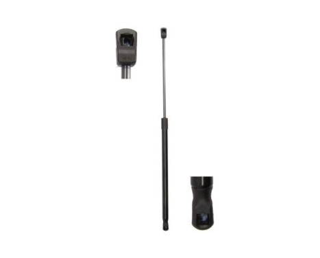 Gas spring, trunk