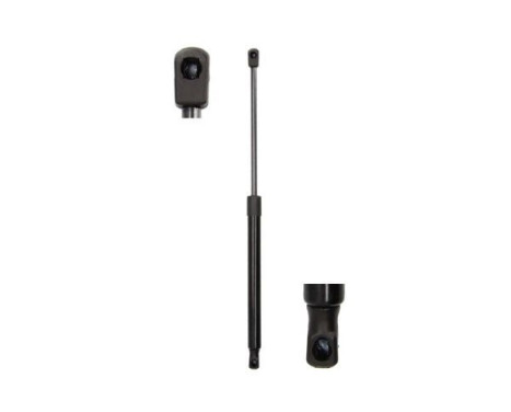 Gas spring, trunk