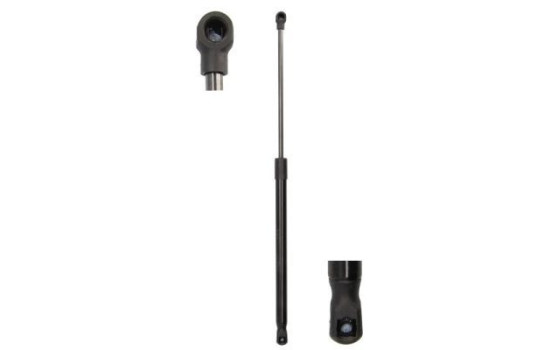 Gas spring, trunk