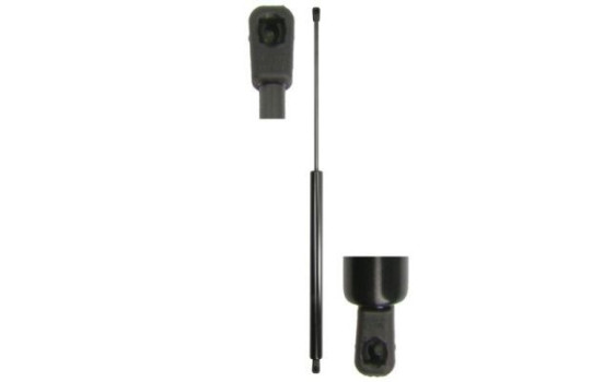 Gas spring, trunk