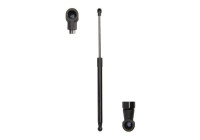 Gas spring, trunk