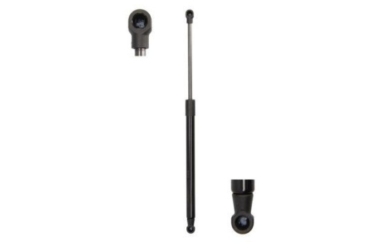 Gas spring, trunk