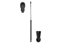 Gas spring, trunk