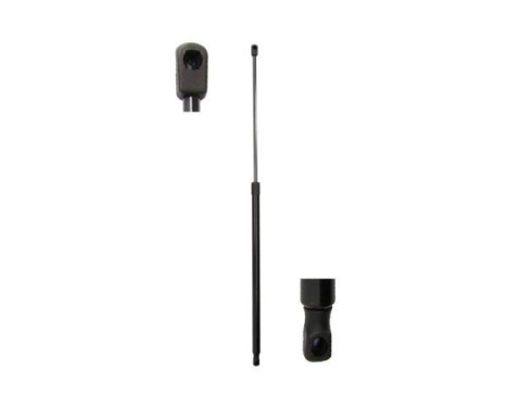 Gas spring, trunk