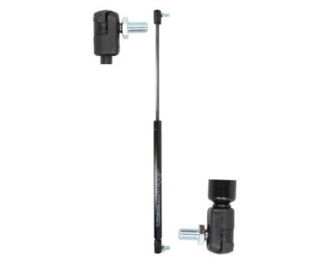 Gas spring, trunk