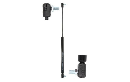 Gas spring, trunk