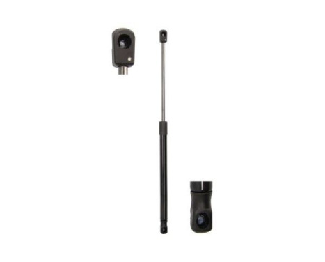 Gas spring, trunk