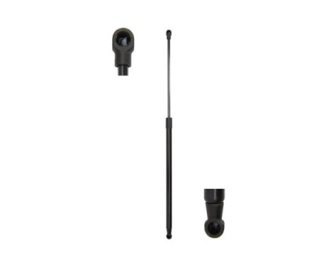 Gas spring, trunk