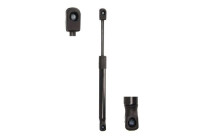 Gas spring, trunk