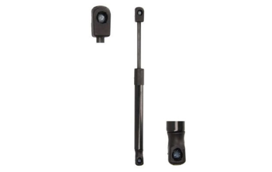 Gas spring, trunk