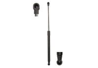Gas spring, trunk