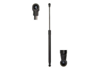 Gas spring, trunk