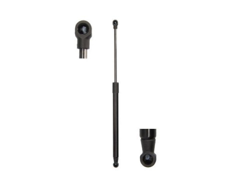 Gas spring, trunk