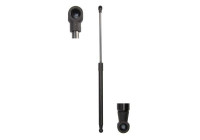 Gas spring, trunk