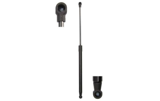 Gas spring, trunk