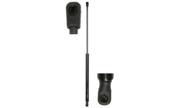 Gas spring, trunk