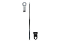 Gas spring, trunk