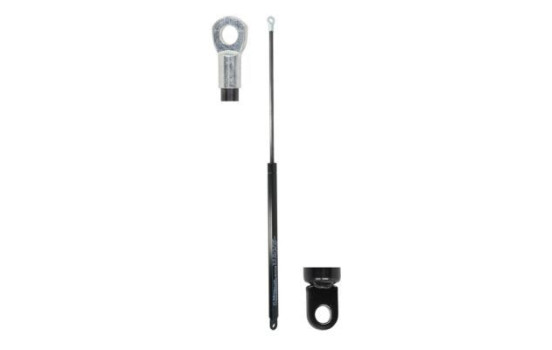 Gas spring, trunk