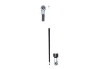Gas spring, trunk