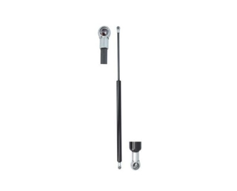 Gas spring, trunk