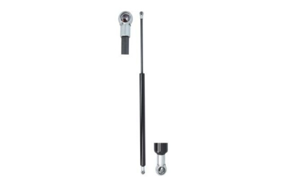 Gas spring, trunk