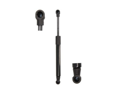 Gas spring, trunk