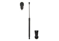 Gas spring, trunk