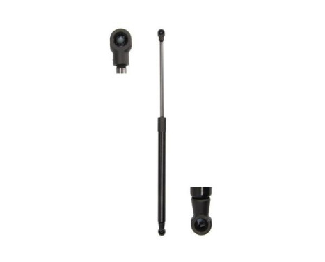 Gas spring, trunk