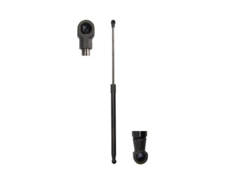 Gas spring, trunk