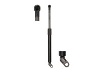 Gas spring, trunk