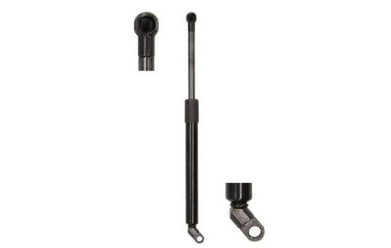 Gas spring, trunk