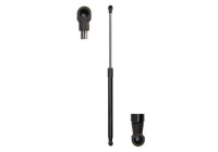 Gas spring, trunk