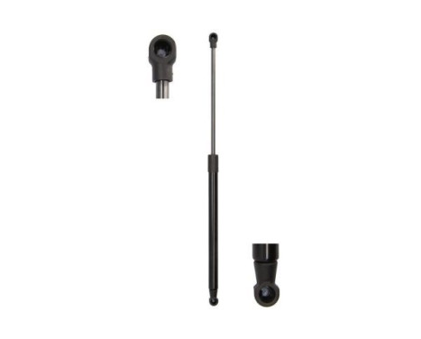 Gas spring, trunk