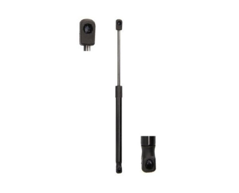 Gas spring, trunk