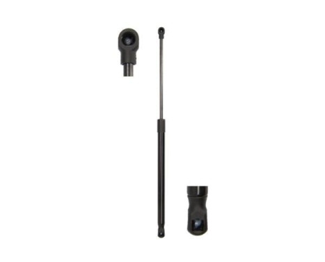 Gas spring, trunk
