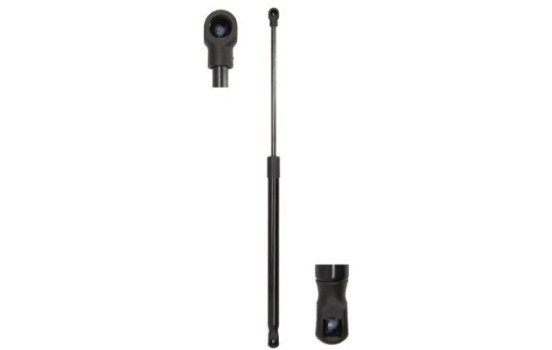 Gas spring, trunk
