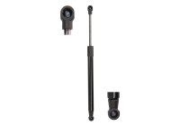 Gas spring, trunk
