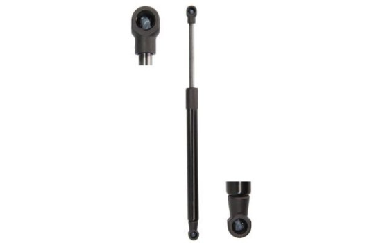 Gas spring, trunk
