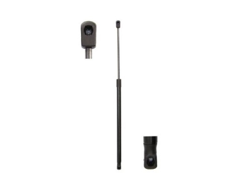 Gas spring, trunk
