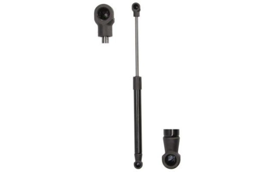 Gas spring, trunk