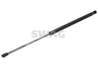 Gas spring, trunk