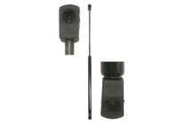 Gas spring, trunk