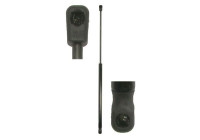 Gas spring, trunk