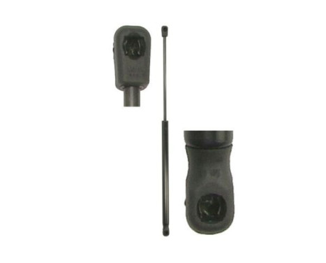 Gas spring, trunk