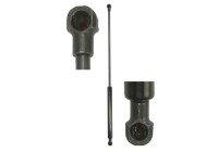 Gas spring, trunk