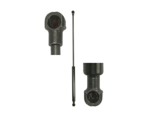 Gas spring, trunk